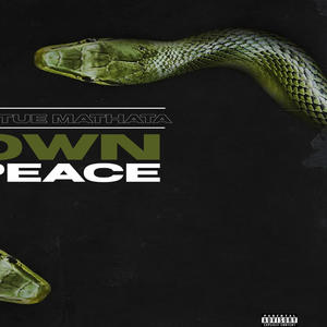 Own Peace (Explicit)