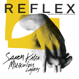 REFLEX: Miraculous Layers