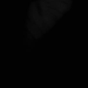 Downhome Kings (feat. Danga & Gellz) (Explicit)