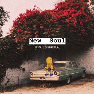 New Soul