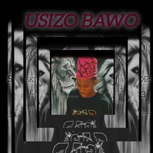 Usizo Bawo