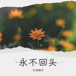 天涯峰仔 - 永不回头