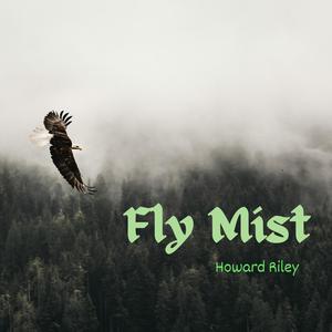 Fly Mist