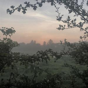 you're still in my dreams