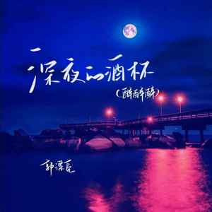 深夜的酒杯（醉醉醉）