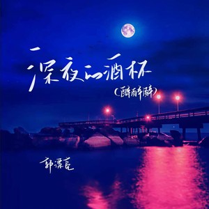 深夜的酒杯（醉醉醉）