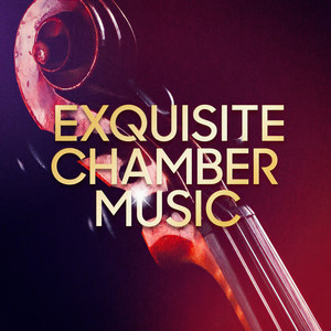 Sonata in G Major Op. 2 No. 4: II. Allegro
