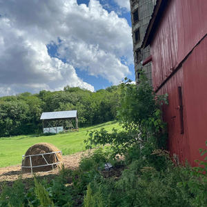 let me say something (feat. halfhearted & Greenwood) (Explicit)