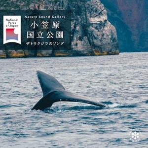 ザトウクジラのソング 2025 PART2 ステレオ録音 (父島ハートロック付近) (Hi-Res)