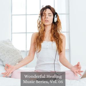 Wonderful Healing Music Series, Vol. 05