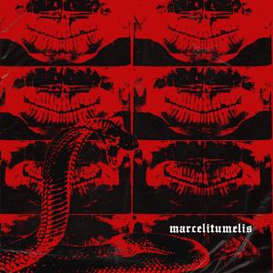 disambiguation (Explicit)