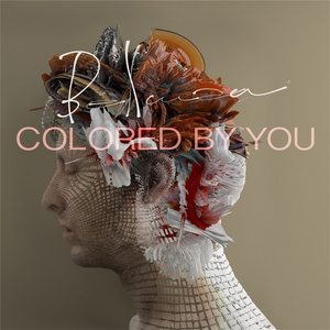 Colored By You
