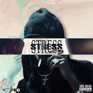 STRESS (feat. Jdiditagain) [Explicit]