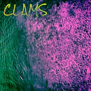 Clams