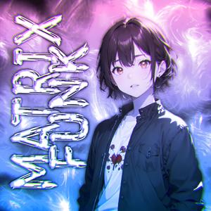 MATRIX FUNK