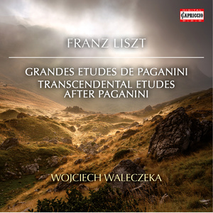 LISZT, F.: Grandes Études de Paganini / 6 Études d'exécution transcendante d'après Paganini (Waleczek)