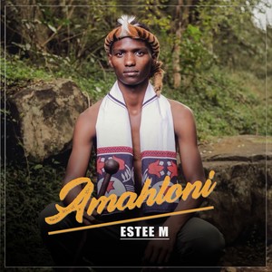 Amahloni (Radio Edit)