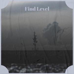 Find Level