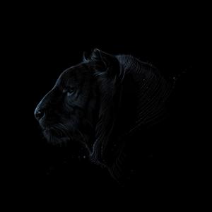 Letter To My Unborn (Explicit)