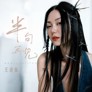 半句再见 (DJWH版)