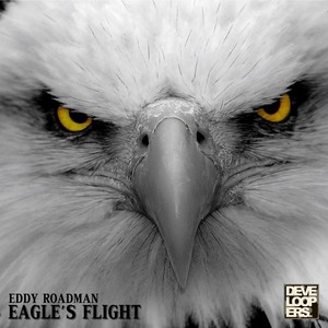 Eagle's Flight (Radio Edit)