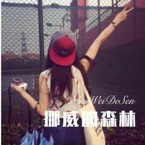 男女关系科 (Remix)封面