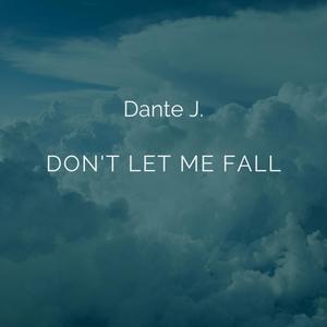 Don't Let Me Fall