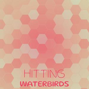 Hitting Waterbirds