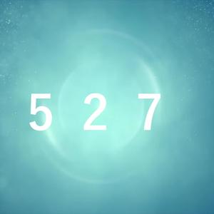 527 (feat. Ci flower)