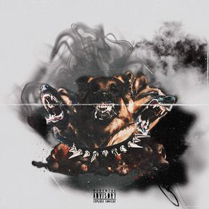 Whole Lotta Flames (feat. SKBilly) (Explicit)