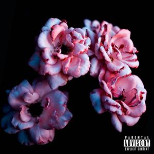 Pass the ops (Explicit)