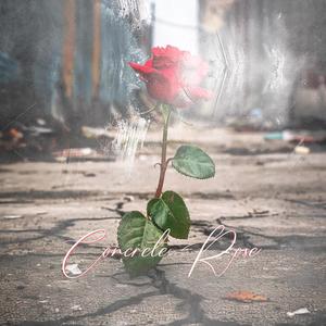 Concrete Rose