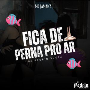 Dj Pedrin Souza - FICA DE PERNA PRO AR (feat. Mc Jamaica Jl) (Explicit)