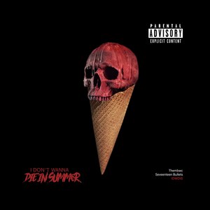 I Don't Wanna Bother Y'all with a Long Intro (Explicit)