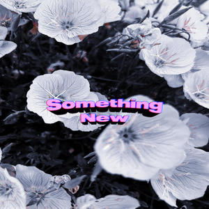 Something New (Explicit)
