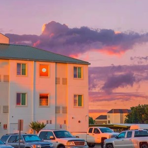 许欣 - 把爱种在你我心底