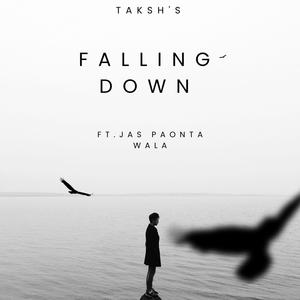 Falling Down (feat. Jas paonta wala)