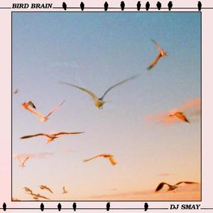 I Would Never Do That