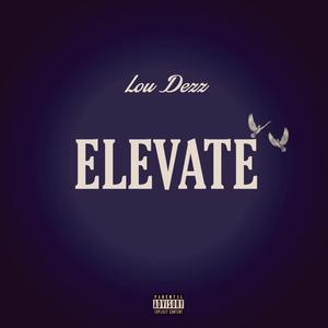 Elevate