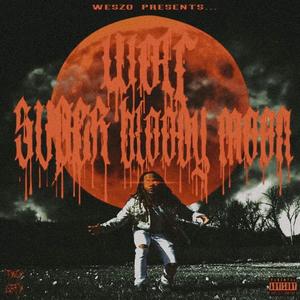 My Woods (feat. Kendrixuade & Fiascodademon) (Explicit)