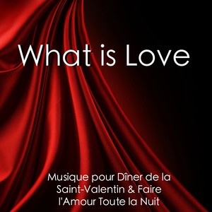 What Is Love - Musique de Piano Instrumentale pour Tous les Amoureux, Musique Relaxante Emotionnelle pour Votre Petite pour le Dîner de la Saint-Valentin & Faire l'Amour Toute la Nuit