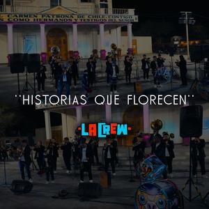 Historias Que Florecen