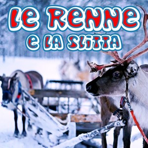 Le Renne E La Slitta