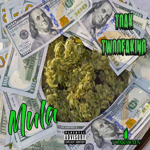 Mula