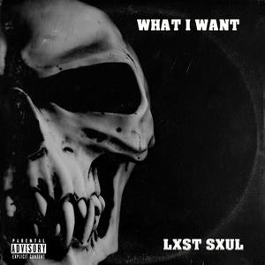 What I Want (Explicit)