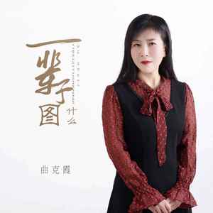 一辈子图什么 (伴奏)