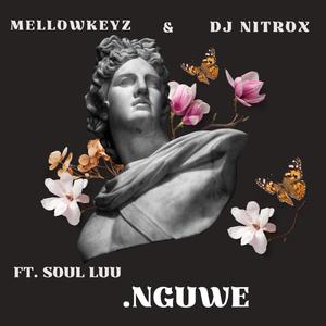 Nguwe (feat. MellowKeyz & Soul Luu)