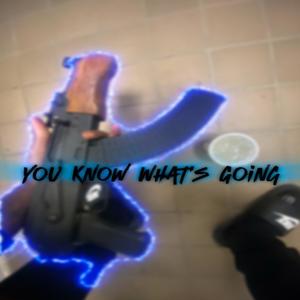 You Know What's Going (feat. Riqo Yola & Lil Filthy) (Explicit)