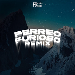 Perreo Furioso (Remix) [Explicit]