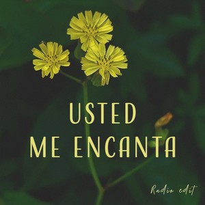 Usted Me Encanta (Radio Edit)